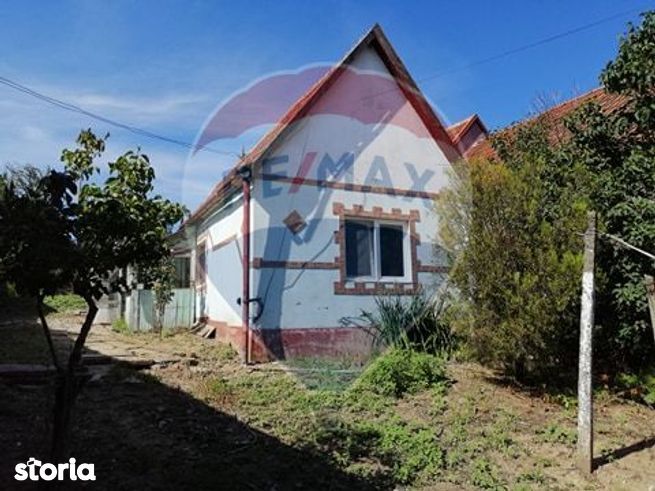 Teren 6307mp Saldabagiu De Munte Oradea Adroe Realty Buy