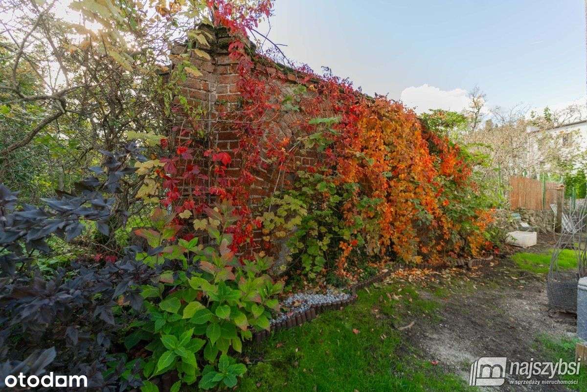 Choszczno - Piękny Rustykalny Dom - Pełny obrazek: 4/20