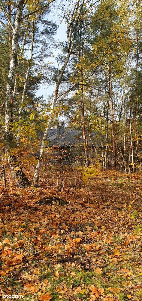 Działka narożna w spokojnej okolicy. Blisko szkoły, przedszkola i lasu - Pełny obrazek: 5/9