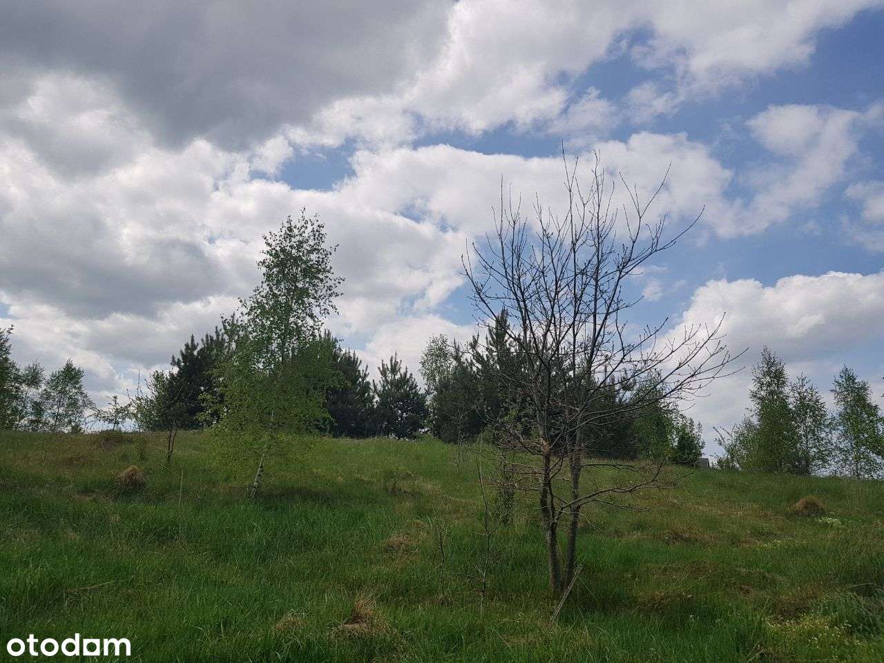Wyczechowo Działka budowlana-1