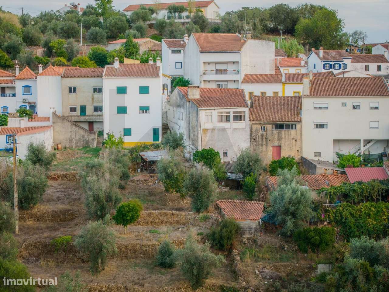 Quinta com Duas Moradias em Belver, Gavião – 13,6 Hectares de Tranquil - Grande imagem: 5/53
