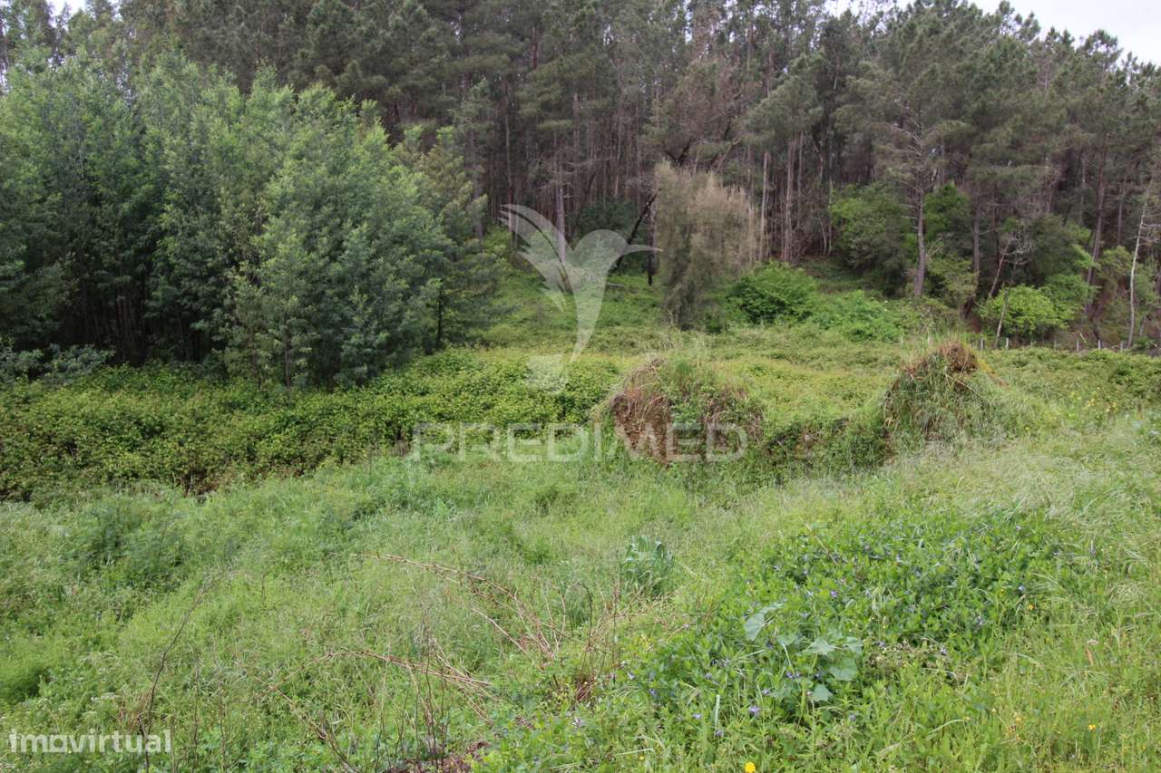 Terreno com possibilidade de  construção - Grande imagem: 4/33