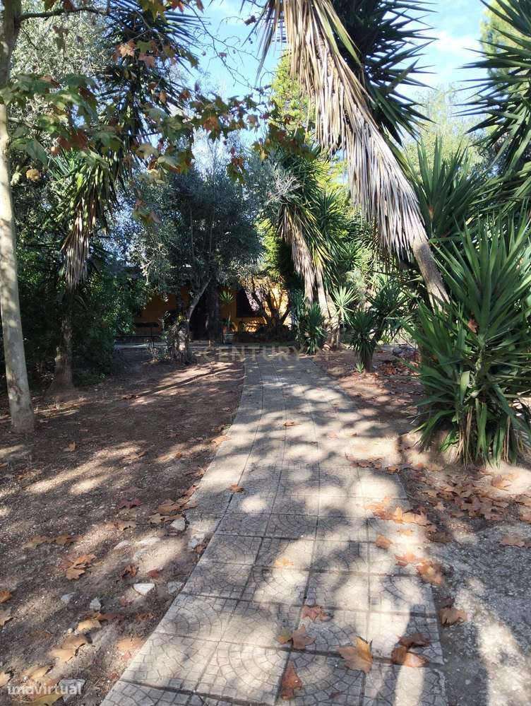 Terreno com benfeitoria - Grande imagem: 4/19