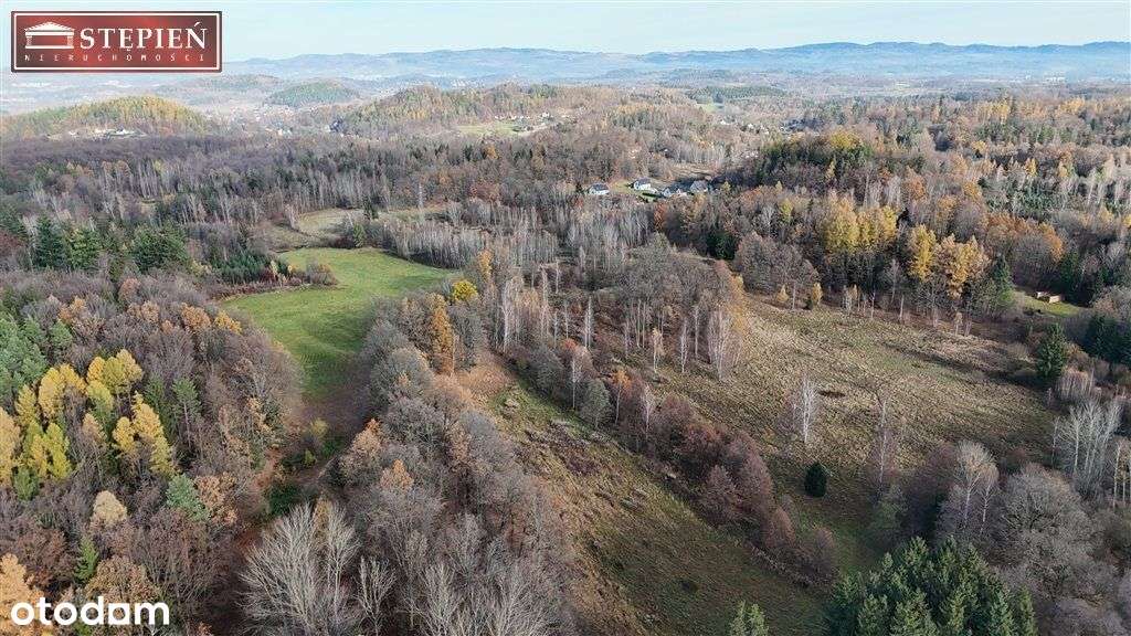 Działka budowlana – 1,11 ha | Staniszów - Pełny obrazek: 5/11