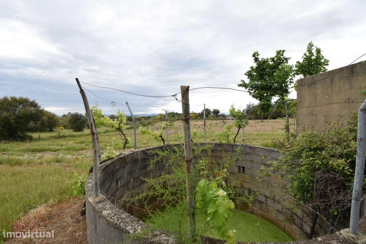 Quinta - Tapada da Misericórdia  - Castelo Branco - Grande imagem: 4/31