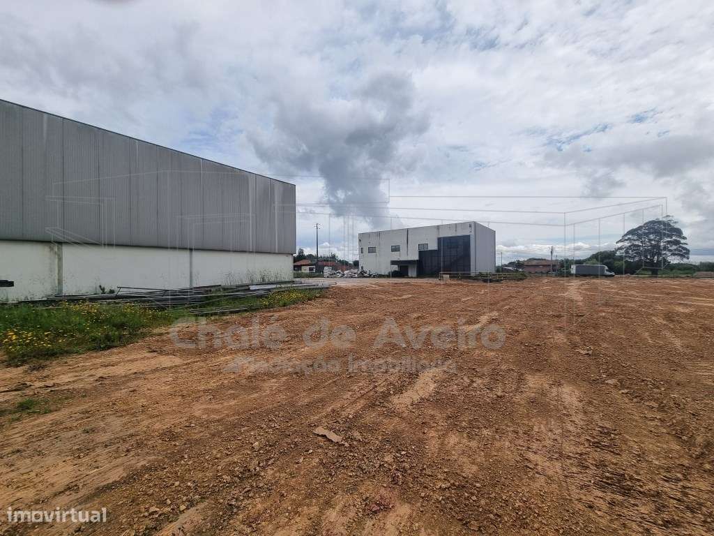 Armazém Industrial (Albergaria-a-Velha)-7
