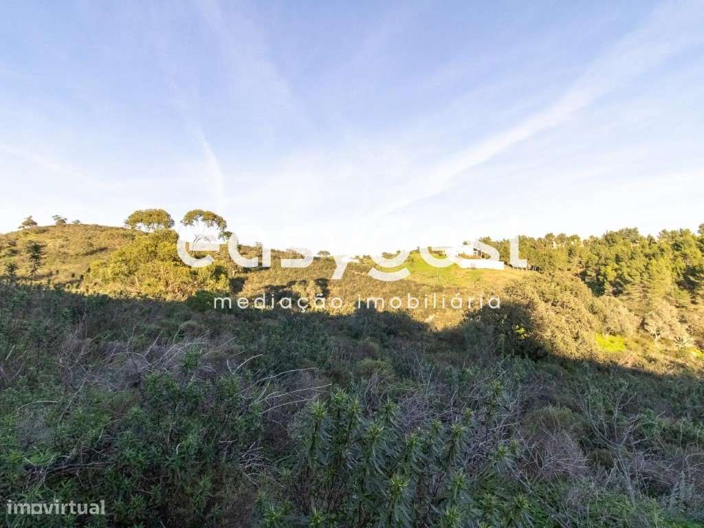 Lote de Terreno Rustico para cultura de sequeiro no Lavajo - Grande imagem: 4/11