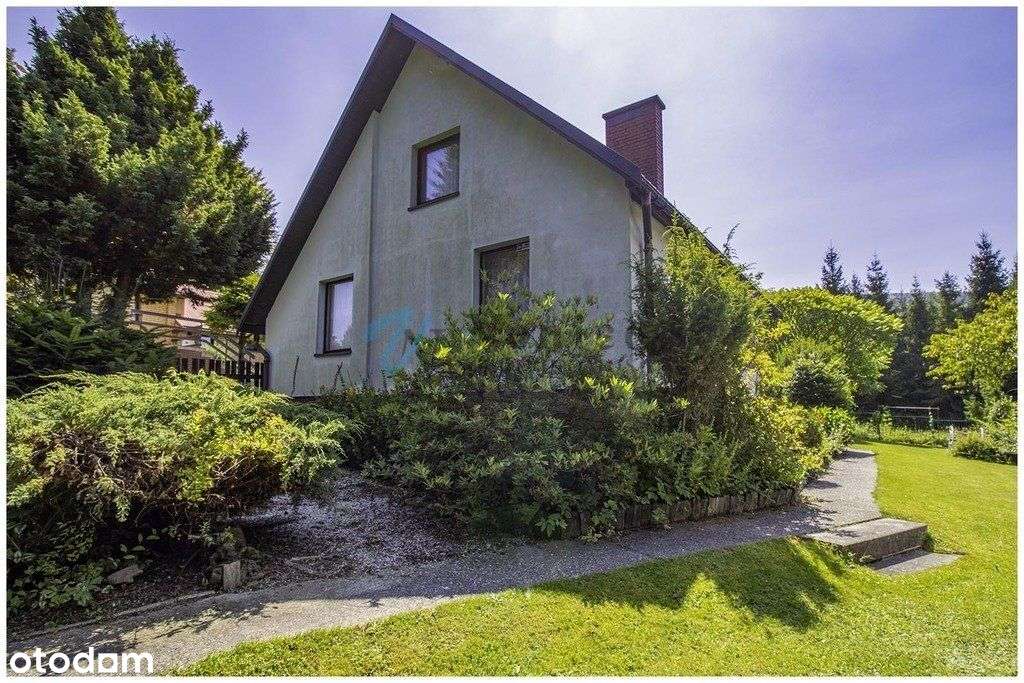 Dom wśród zieleni - Koszarawa-17