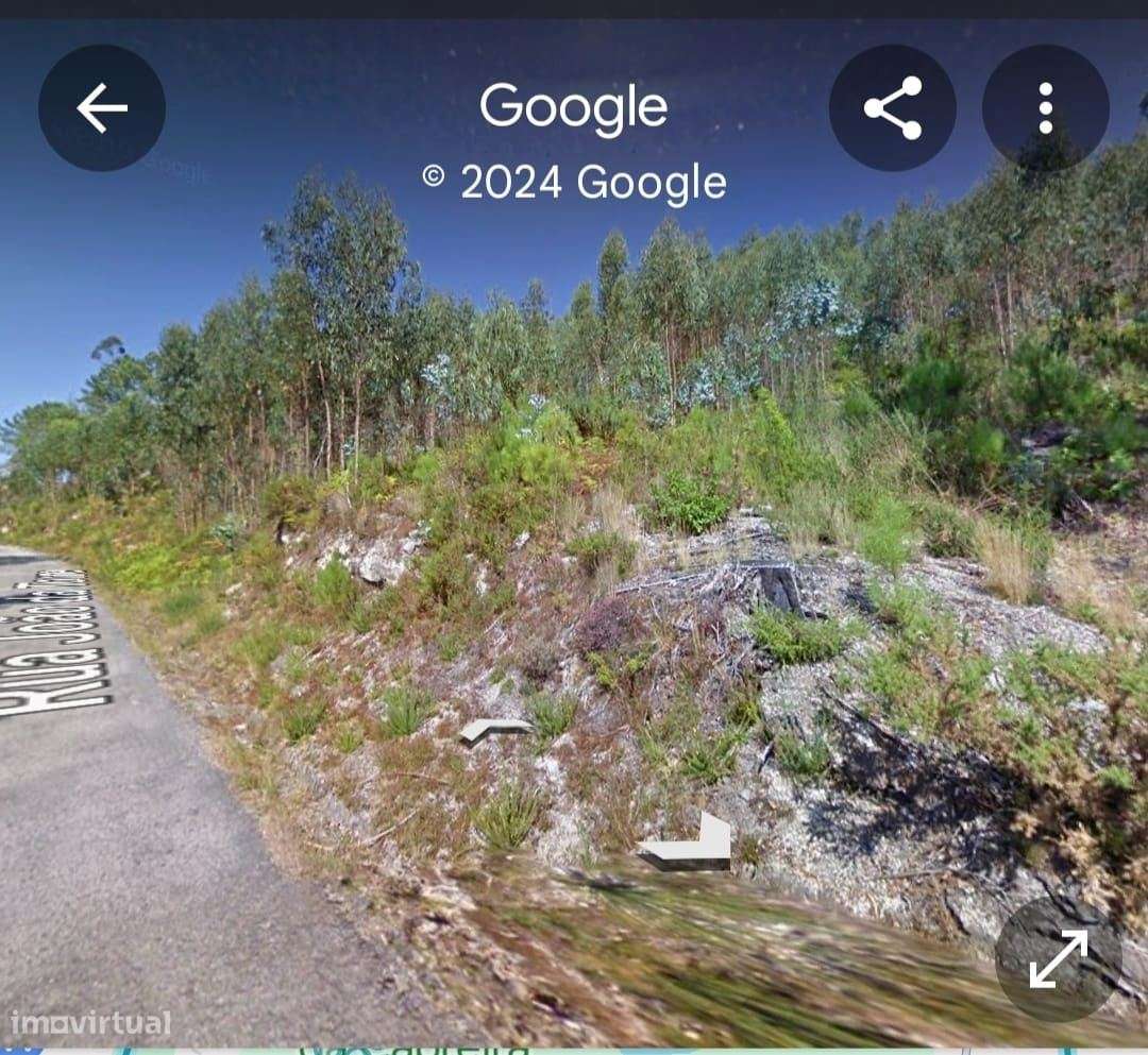 Terreno Rustico em Zona Urbanizavel - Vista 3