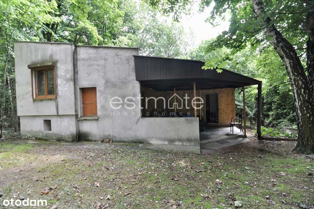 Działka i dom 20 minut od Łodzi w cichej okolicy - Pełny obrazek: 4/10