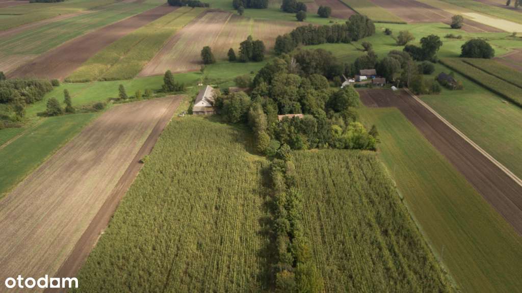 Gospodarstwo na sprzedaż 16,6 ha z zabudowaniami, - Pełny obrazek: 5/20