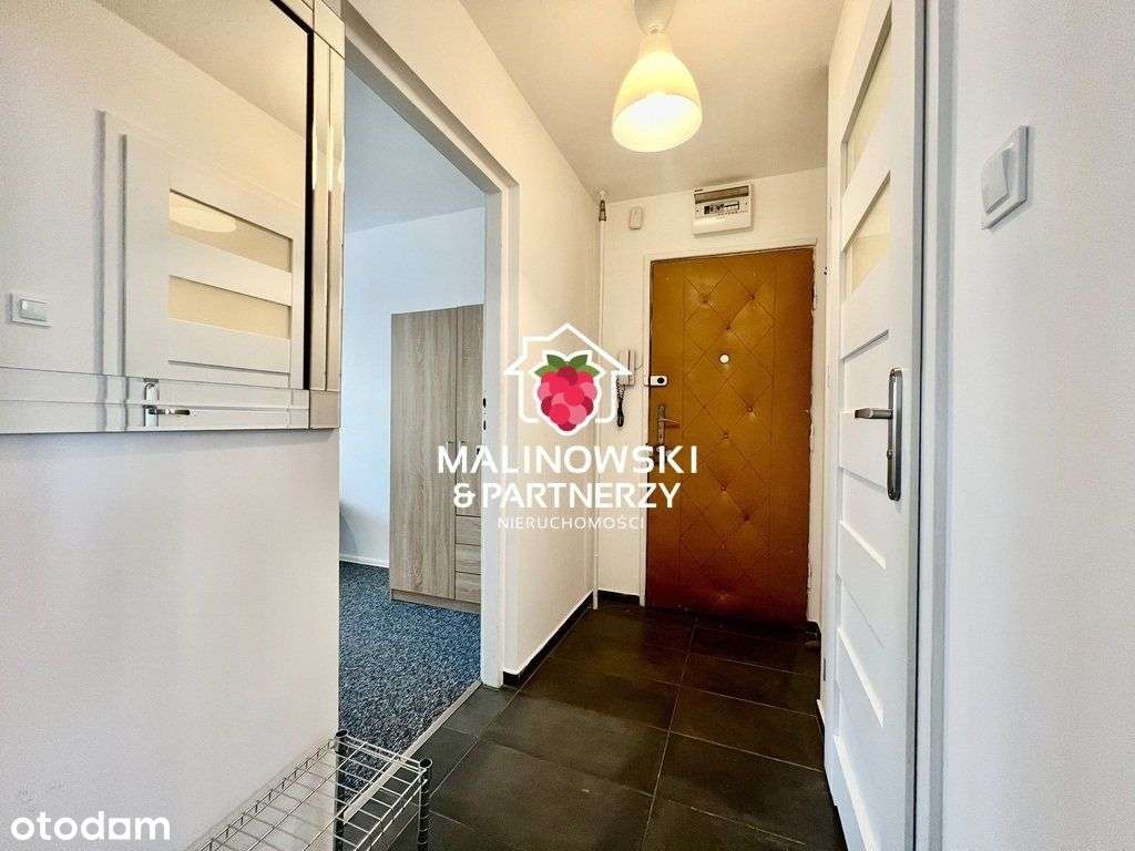 Na wynajem 3 pokoje w cenie 2 (jeden pokój gratis)-3