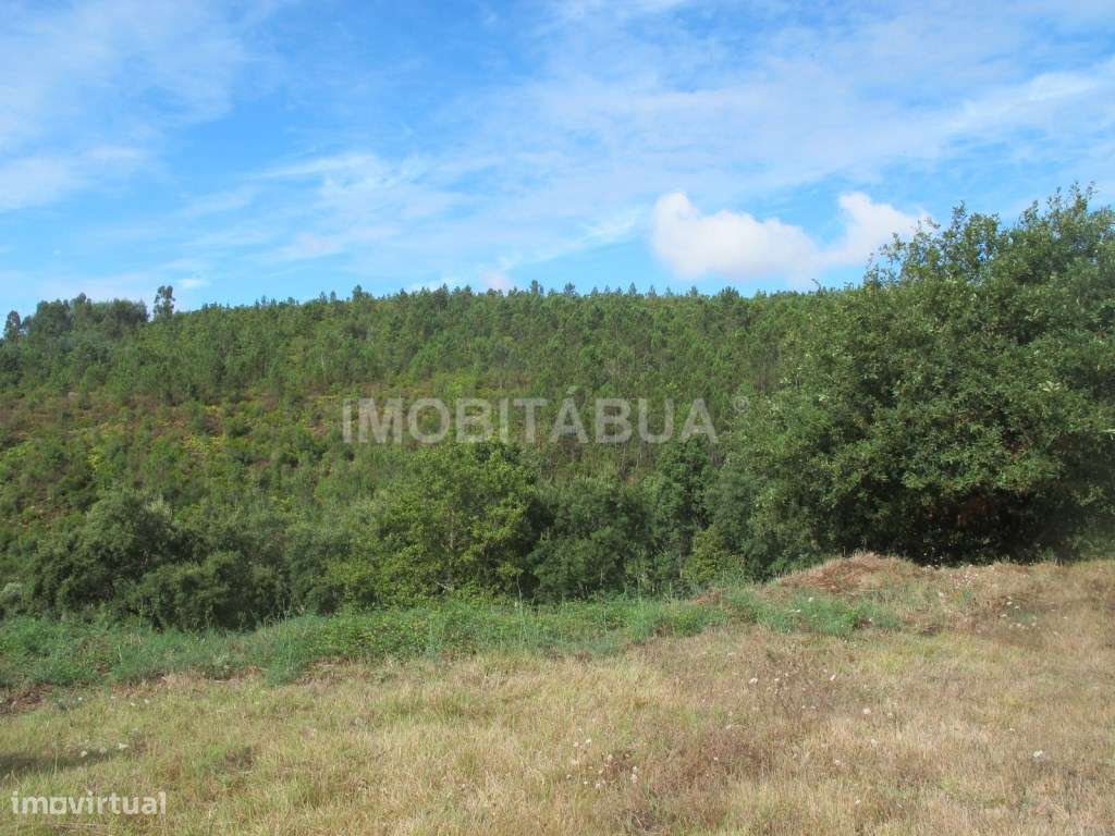 Terreno para construção com excelentes vistas em Fontão, perto de M... - Grande imagem: 4/4