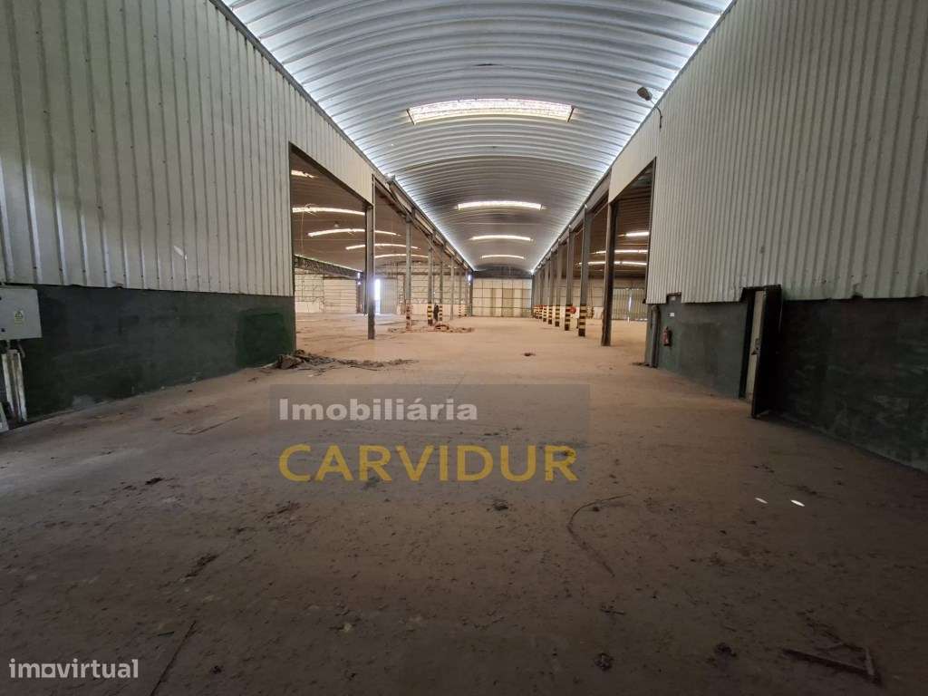 Armazém Industrial de Grande Dimensão - Parque Industrial da Mitren...-23
