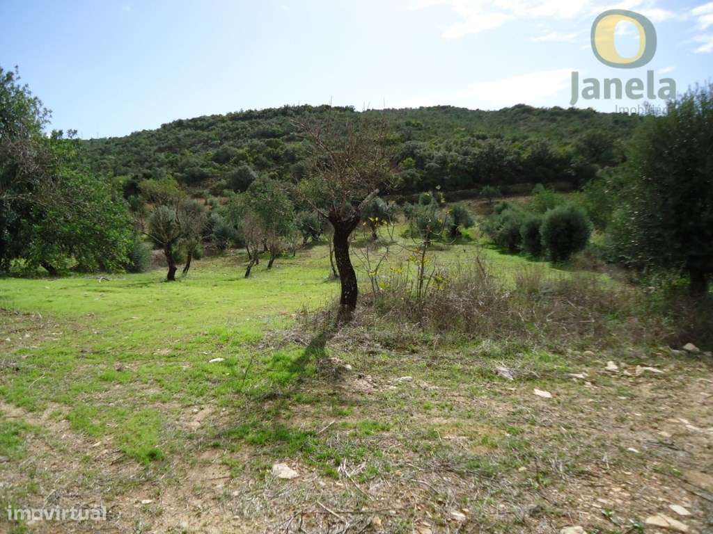 Terreno com 4,3 hectares para projecto Turístico - Grande imagem: 3/3