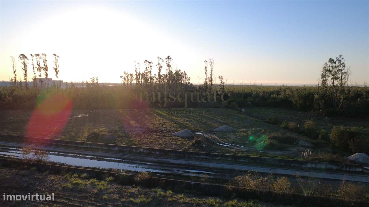 Terreno Industrial para Venda – Zona Industrial de Albergaria-a-Velha-18