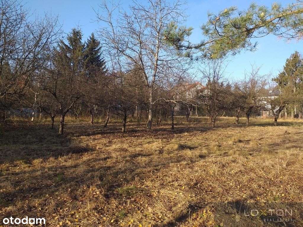 1 km od Puławskiej Przy Lesie Kabackim-4