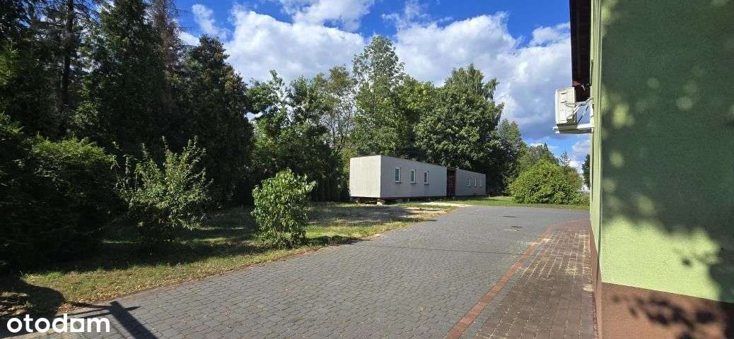 Dom w Dąbrowie G.,160m2, duża działka 1322m2 - Pełny obrazek: 3/13