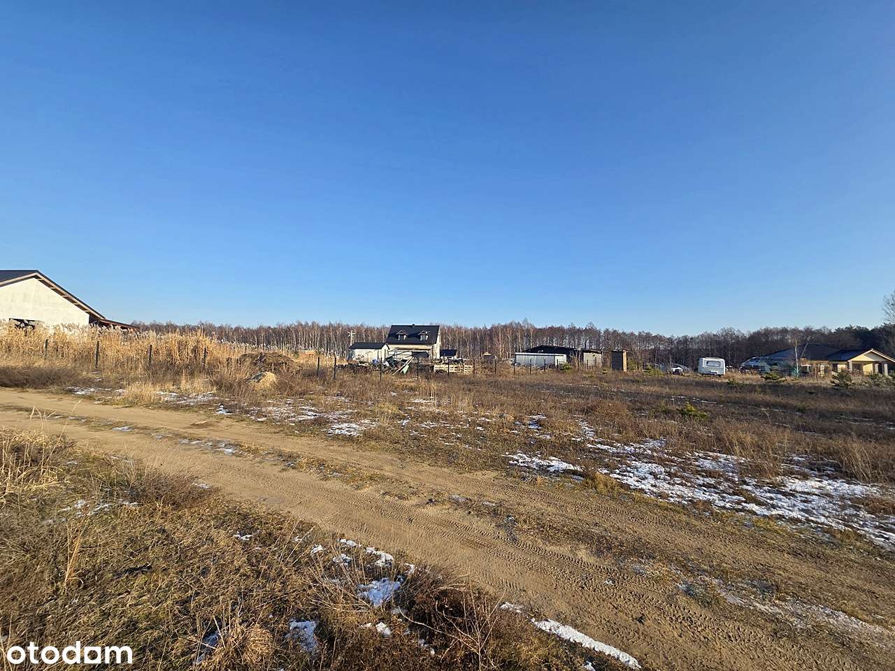 Na nowopowstałym osiedlu w sąsiedztwie lasu-1