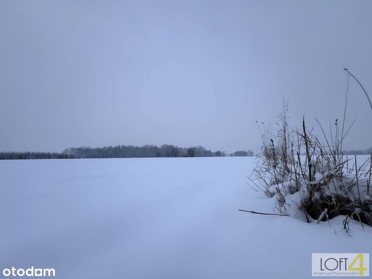 Łukowa - doskonała okazja dla inwestora z WZ-5
