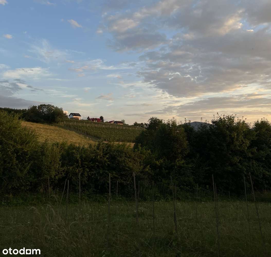 Bojańczyce - widokowa działka budowlana-14