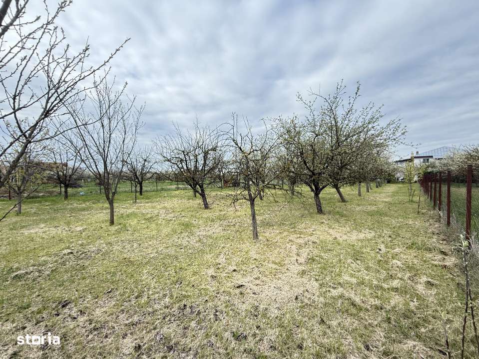 Casa cu livada Izvorani la 300m de Lacul Snagov asfalt si utilitati-15