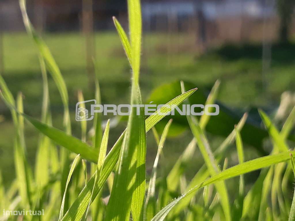 Terreno p/ construção de moradia isolada térrea - Sarrazola - Grande imagem: 3/5