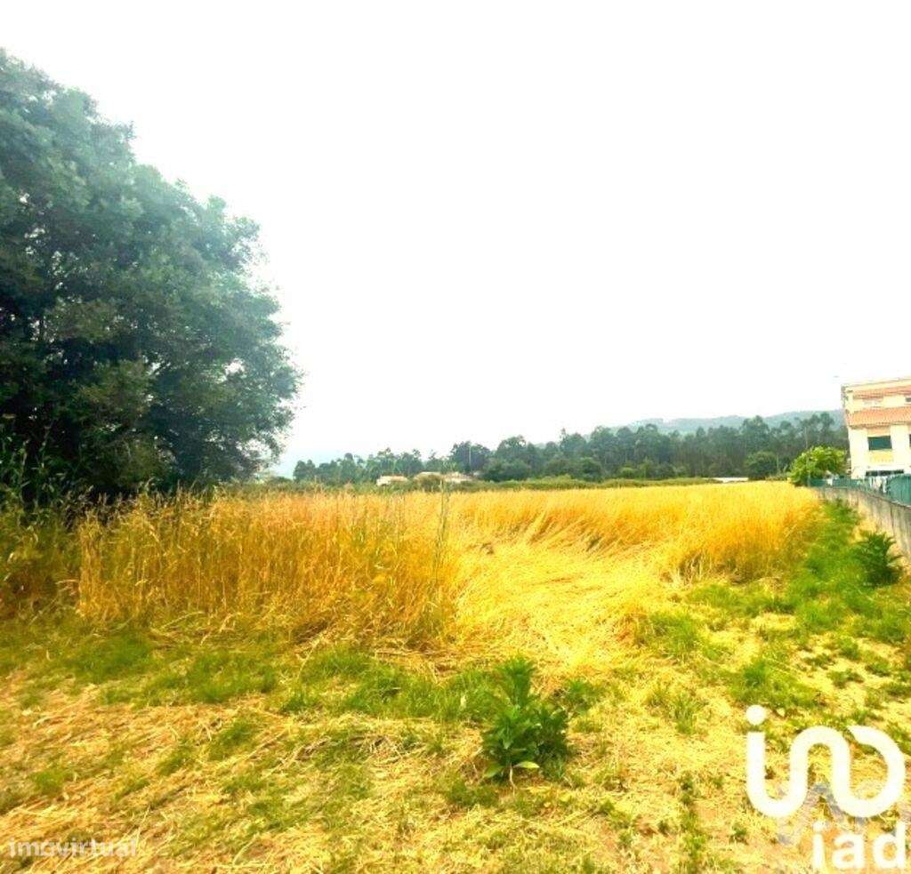 Loja / Estabelecimento Comercial em Geraz Do Lima (Santa Maria, Santa - Grande imagem: 3/3