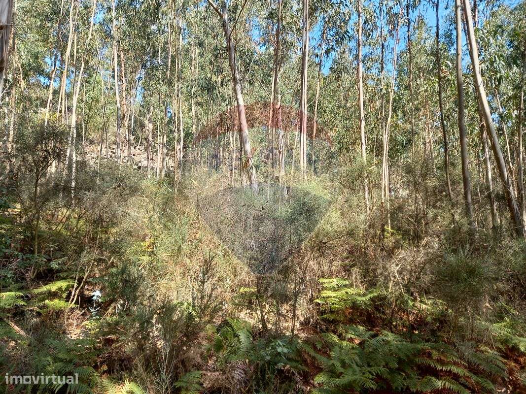 Terreno  para venda - Grande imagem: 3/4