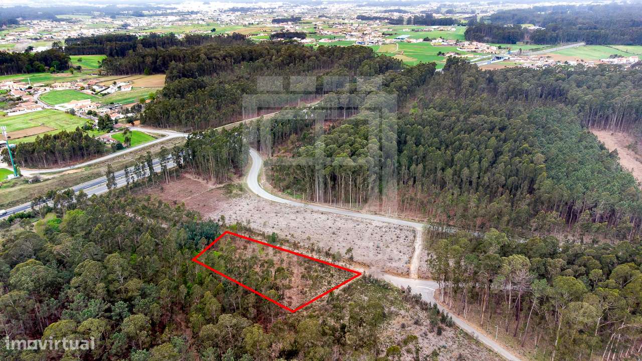 Terreno rústico com 4.100 m2 em Válega - Grande imagem: 5/11