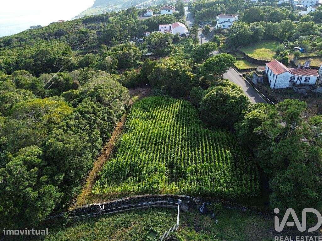 Terreno em Ribeiras - Grande imagem: 5/8
