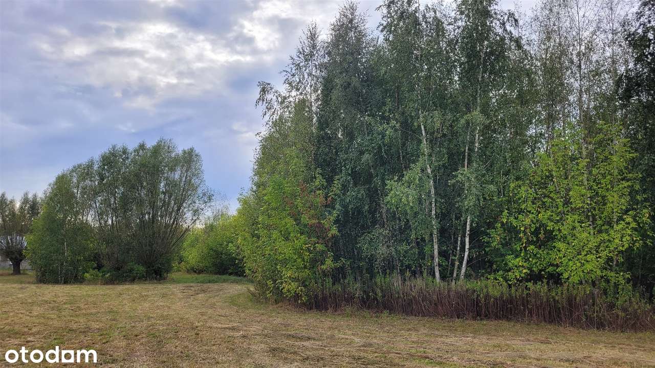 działka siedliskowa okolice Sochaczewa-2