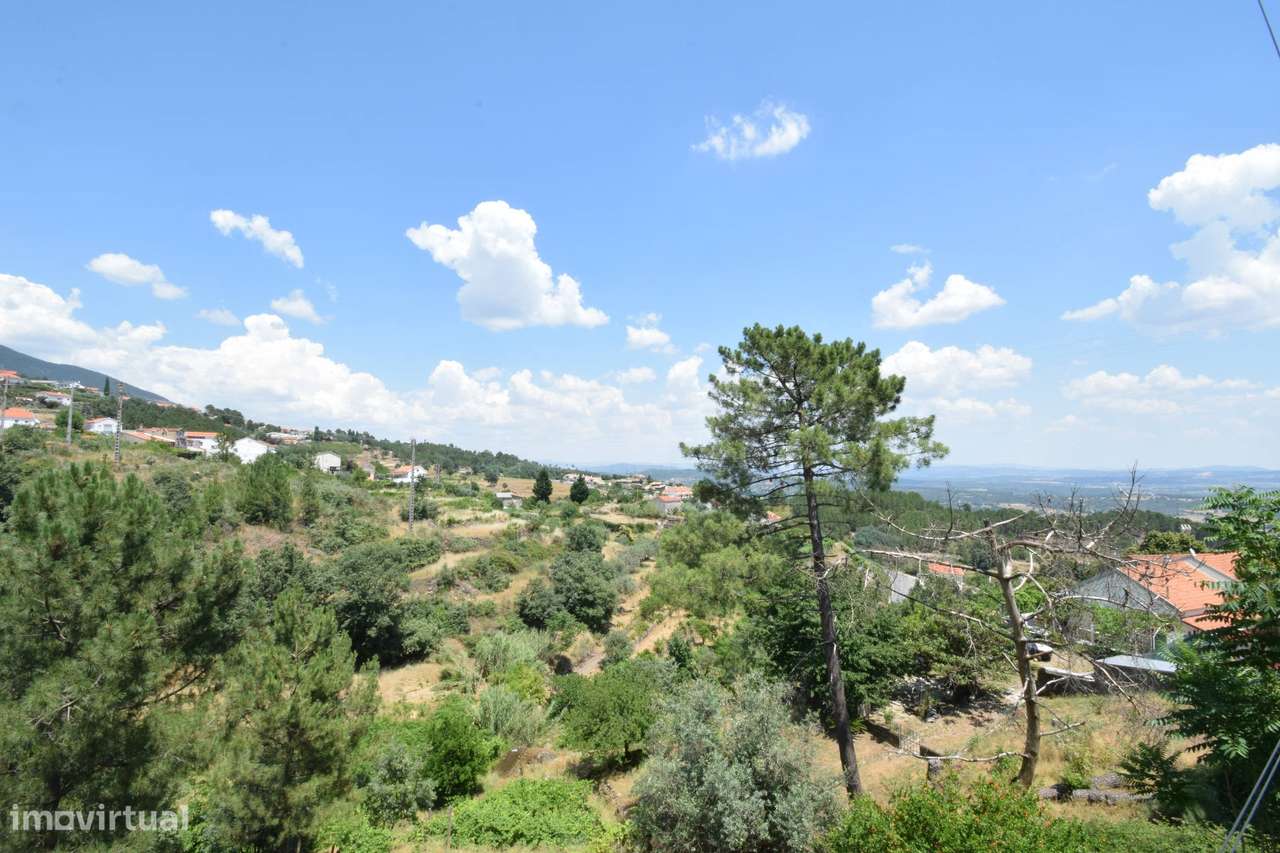 Terreno com 4.522 m² e Viabilidade de Construção - Vila do Carvalho-39