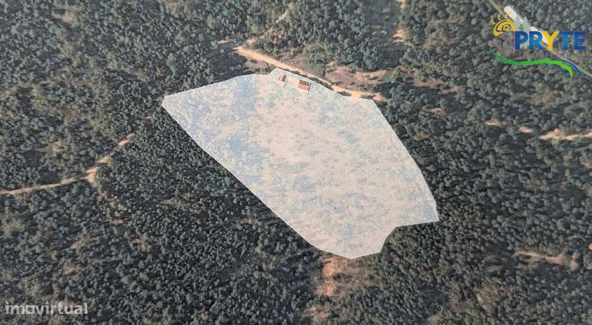 Quinta com 2 hectares de área total-sinónimo de privacidade e sossego-3