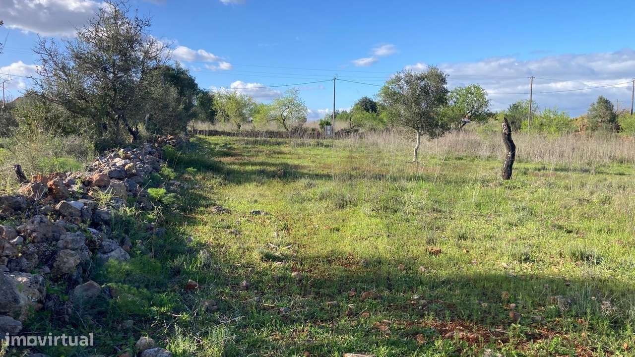 TERRENO com 9840 m2 - Grande imagem: 5/11