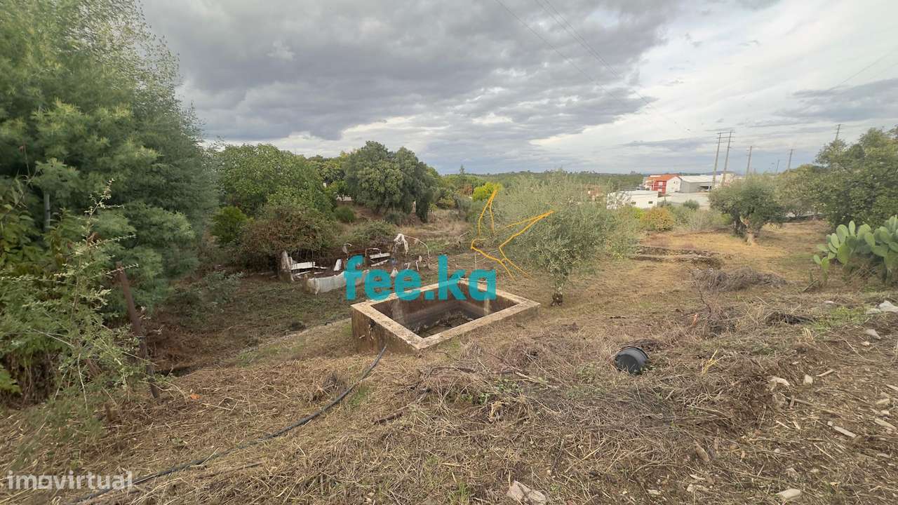 Quintinha-14