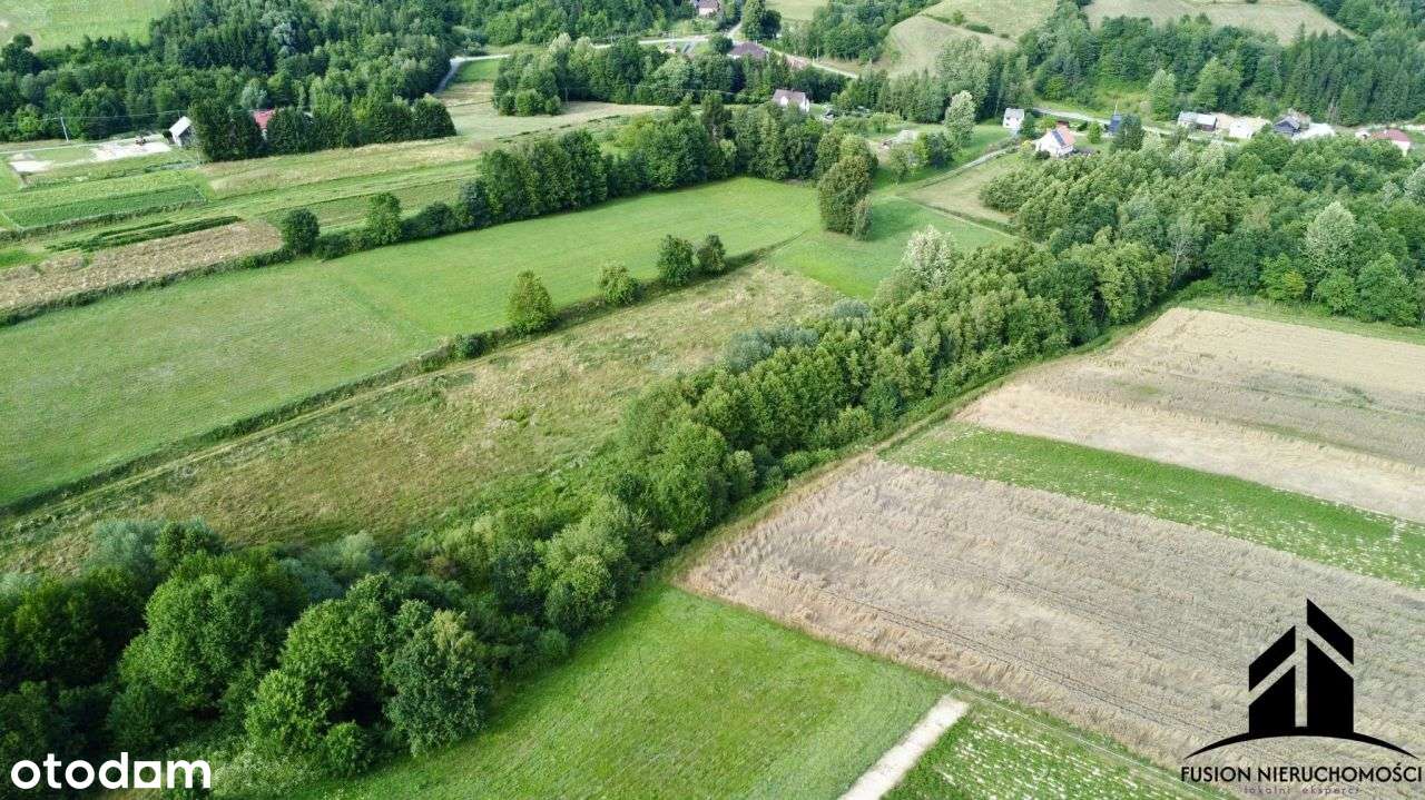 Urokliwa działka z potencjałem | 7842 m² | Łubno,-13