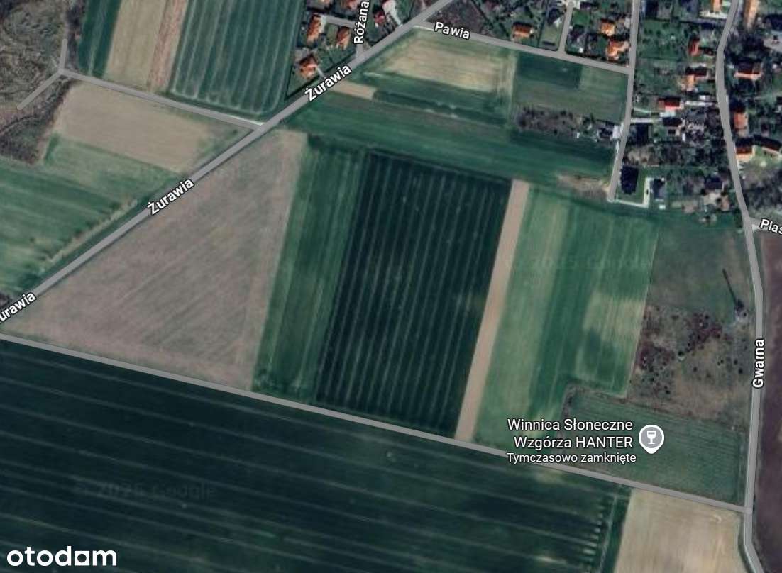 DZIAŁKA INWESTYCYJNA - 19 400 m²  (1,94 ha) - OGROMNY POTENCJAŁ-8