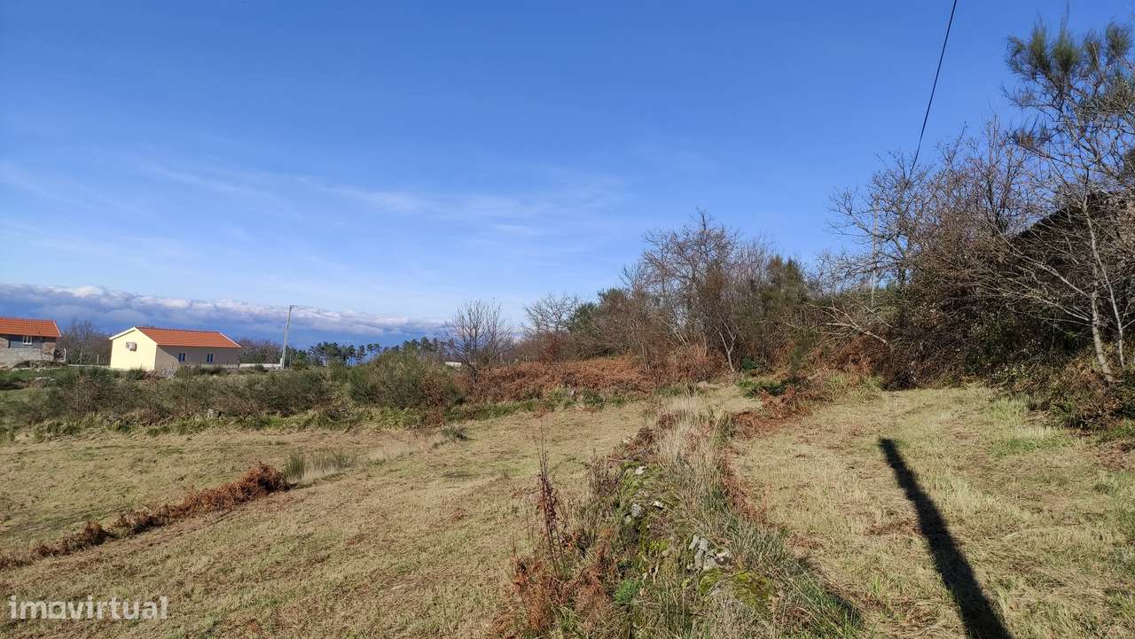 Terreno Rústico  Venda em Gouveia (São Simão),Amarante-0