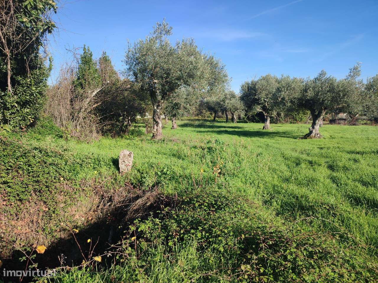 QUINTINHA no Louriçal do Campo, Castelo Branco - Grande imagem: 2/32