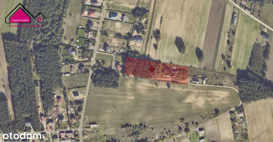 Działka z lasem - zabudowania w cenie gruntu-16