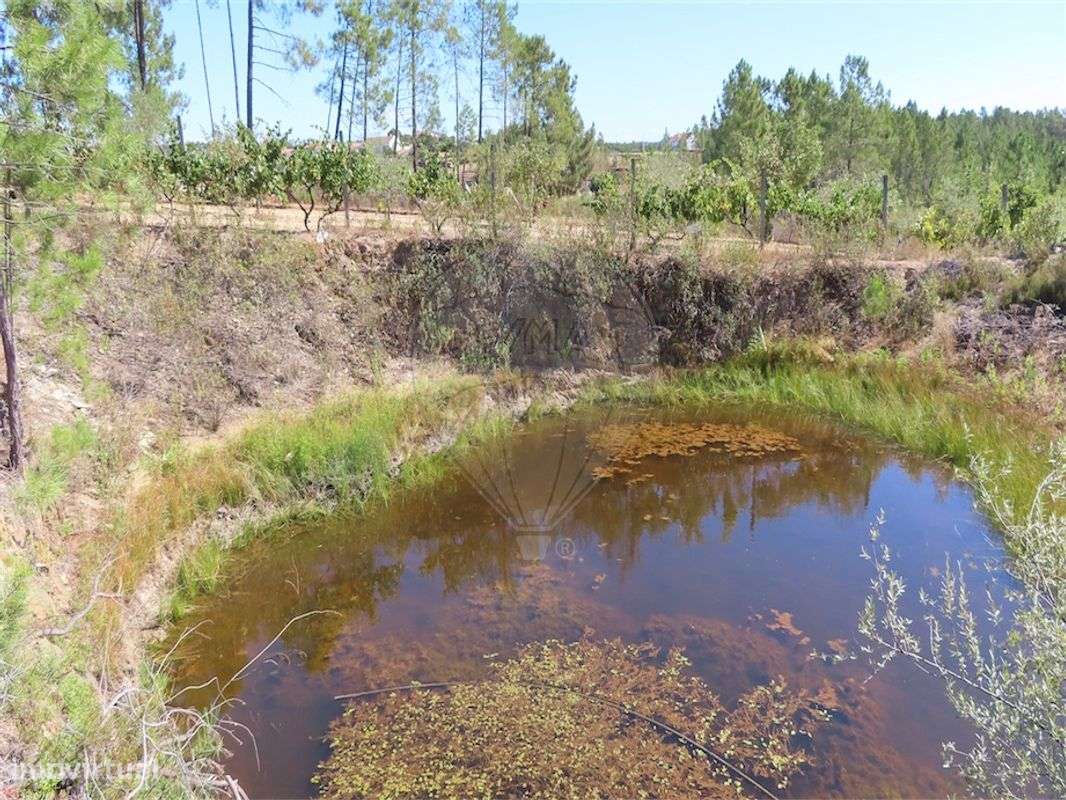 Quinta  para venda - Grande imagem: 5/27