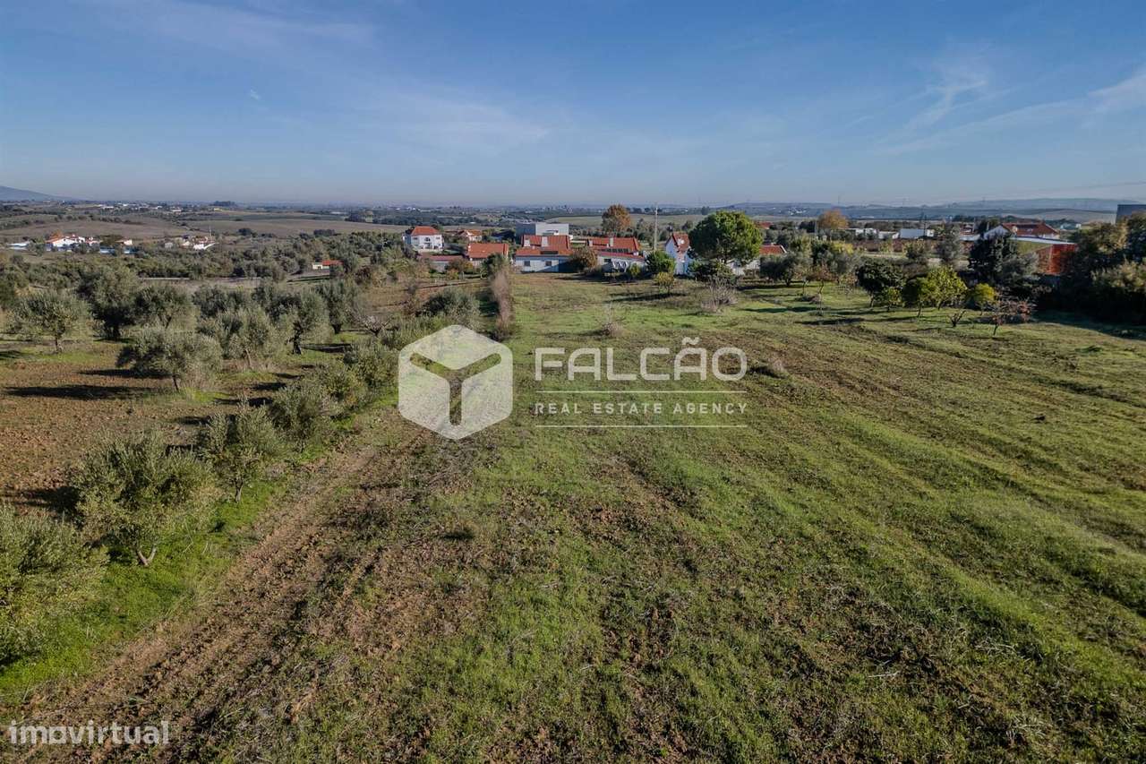 Moradia Isolada T3+1 Venda em Achete, Azoia de Baixo e Póvoa de Santar-38