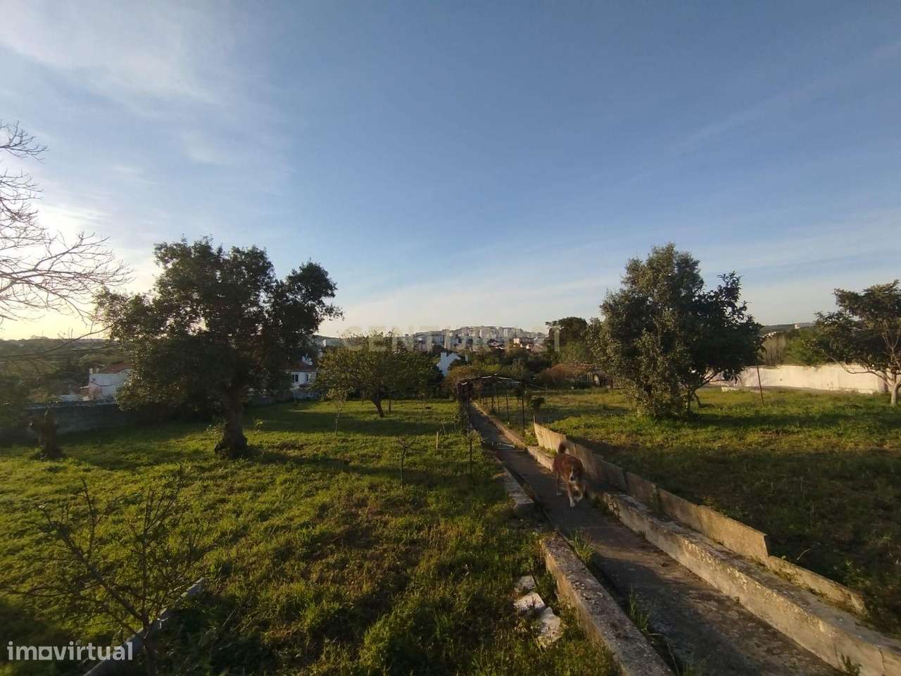 Quinta á venda em Queluz, Sintra - Grande imagem: 2/7
