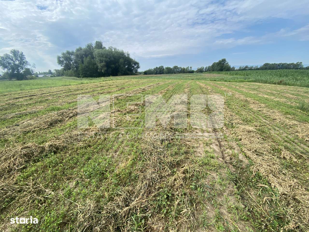 Teren Extravilan | 23 Ari | Satu Mare - Imagine principală: 4/4