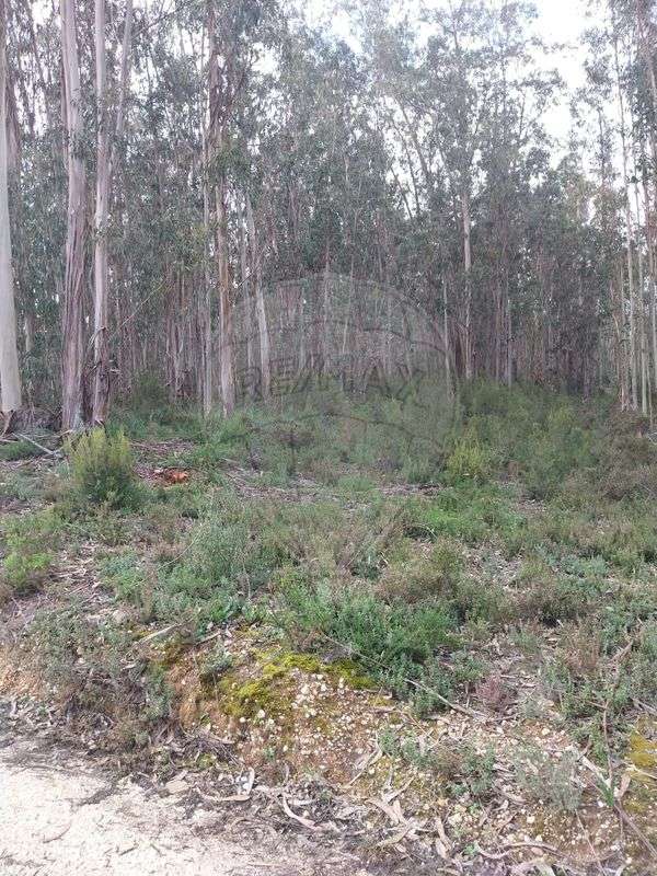 Terreno  para venda - Grande imagem: 4/6