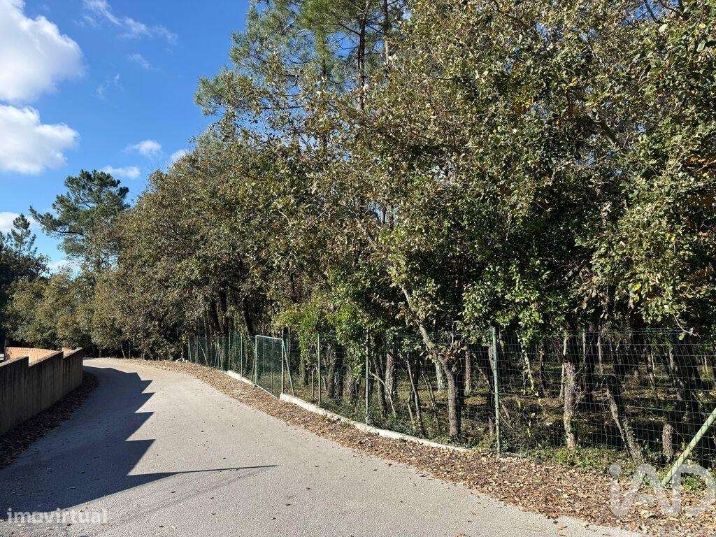 Terreno para construção em Pedreiras - Grande imagem: 4/18