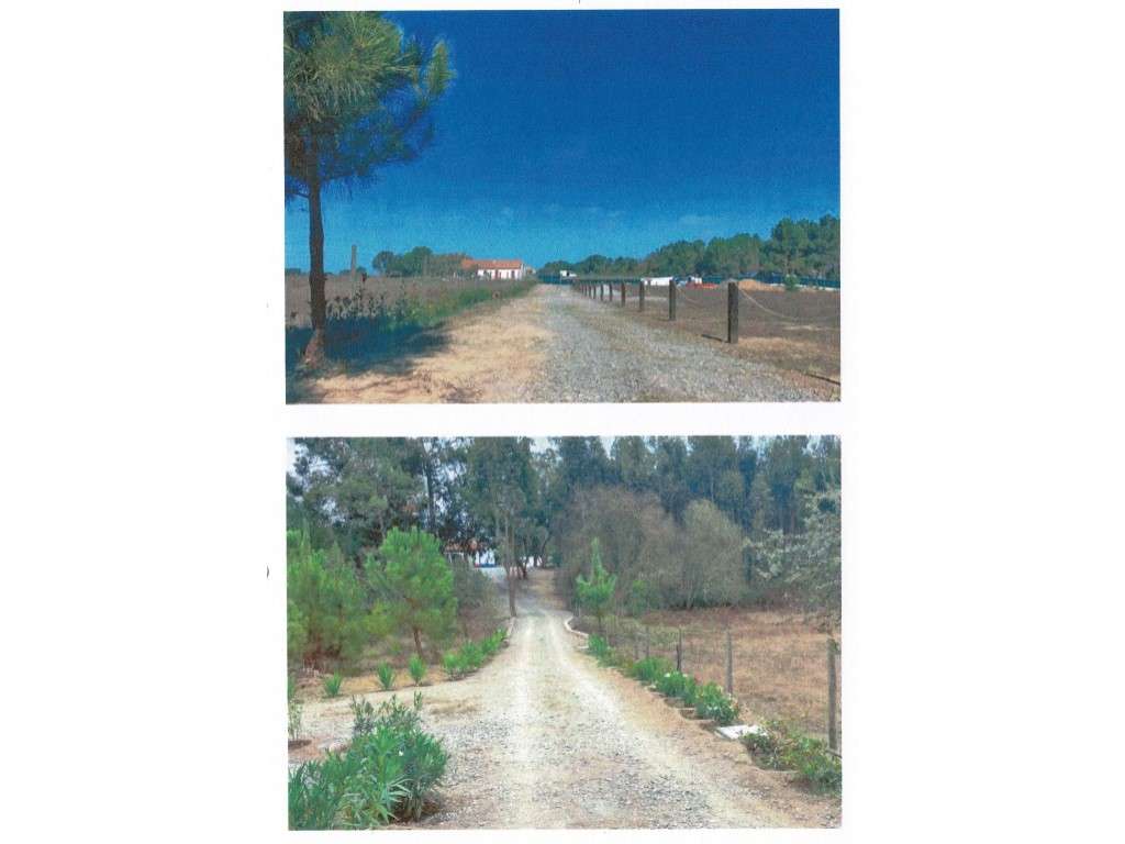 Duas moradias térreas independentes, Terreno 84.000 m2 - São Teotón...-7