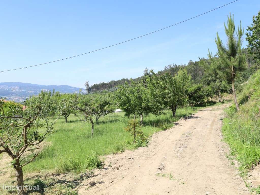 Quinta com 20.000 m² para Venda - Penacova-17