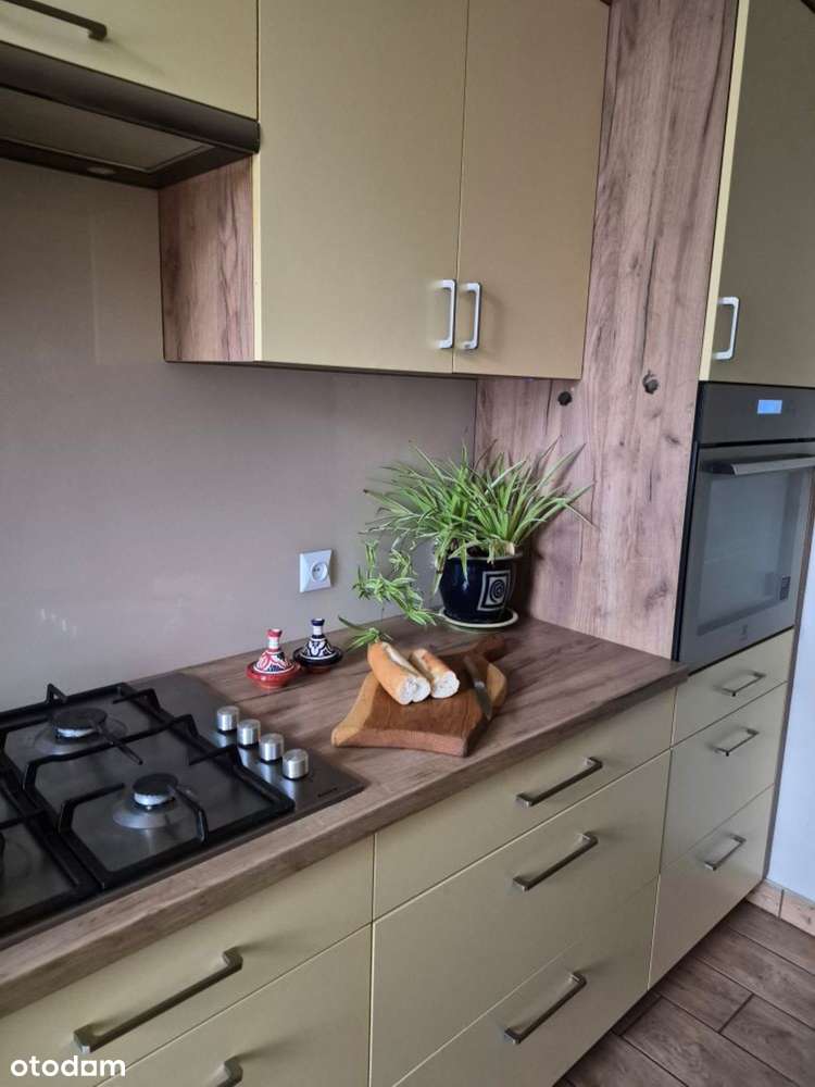 Sprzedam mieszkanie w kamienicy w centrum Wrocławia - Pełny obrazek: 3/20